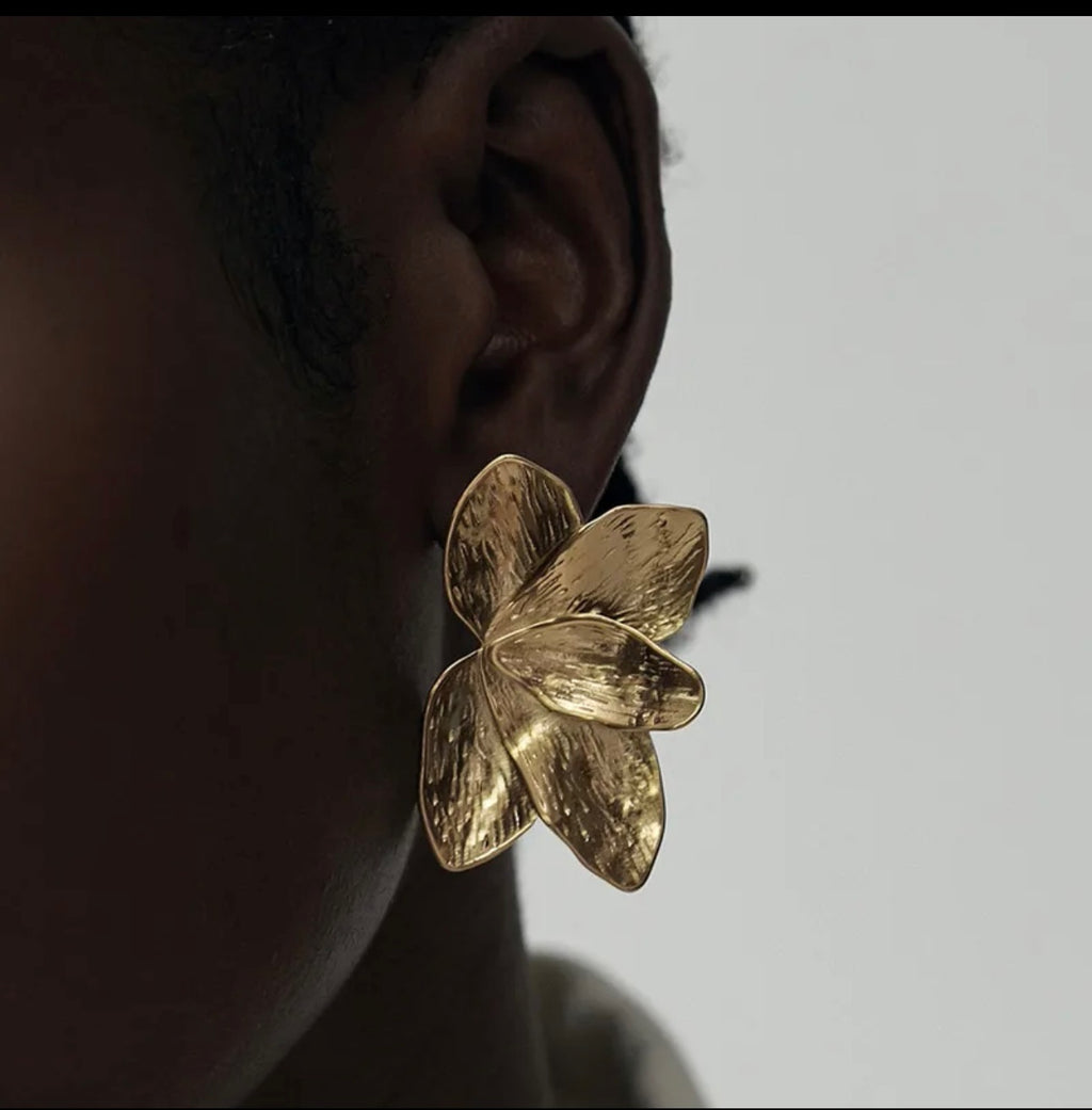 Earrings for women Stainless Steel