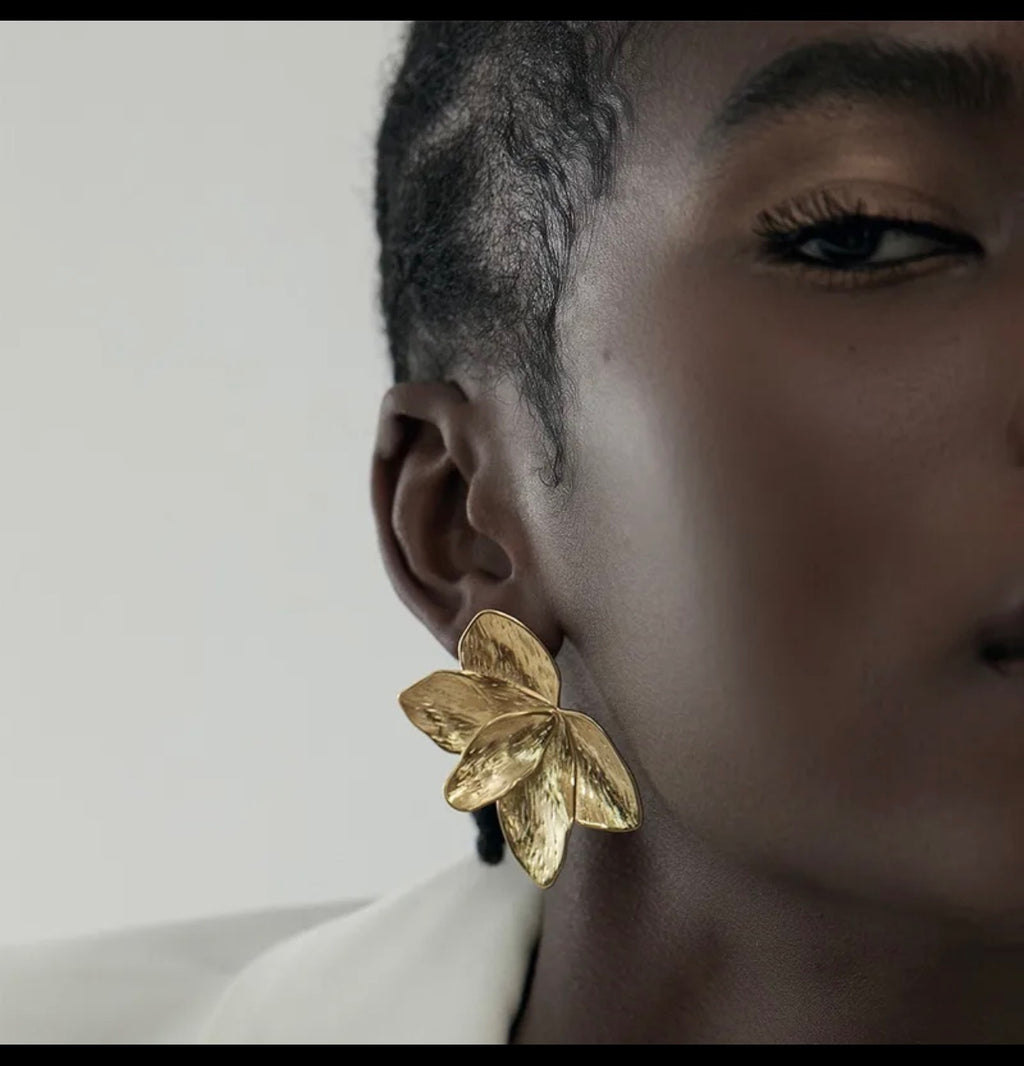 Earrings for women Stainless Steel